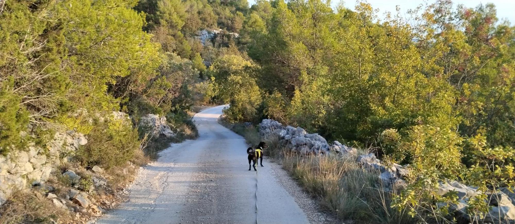Kuca Mali Raj - Little Paradise Šibenik Esterno foto