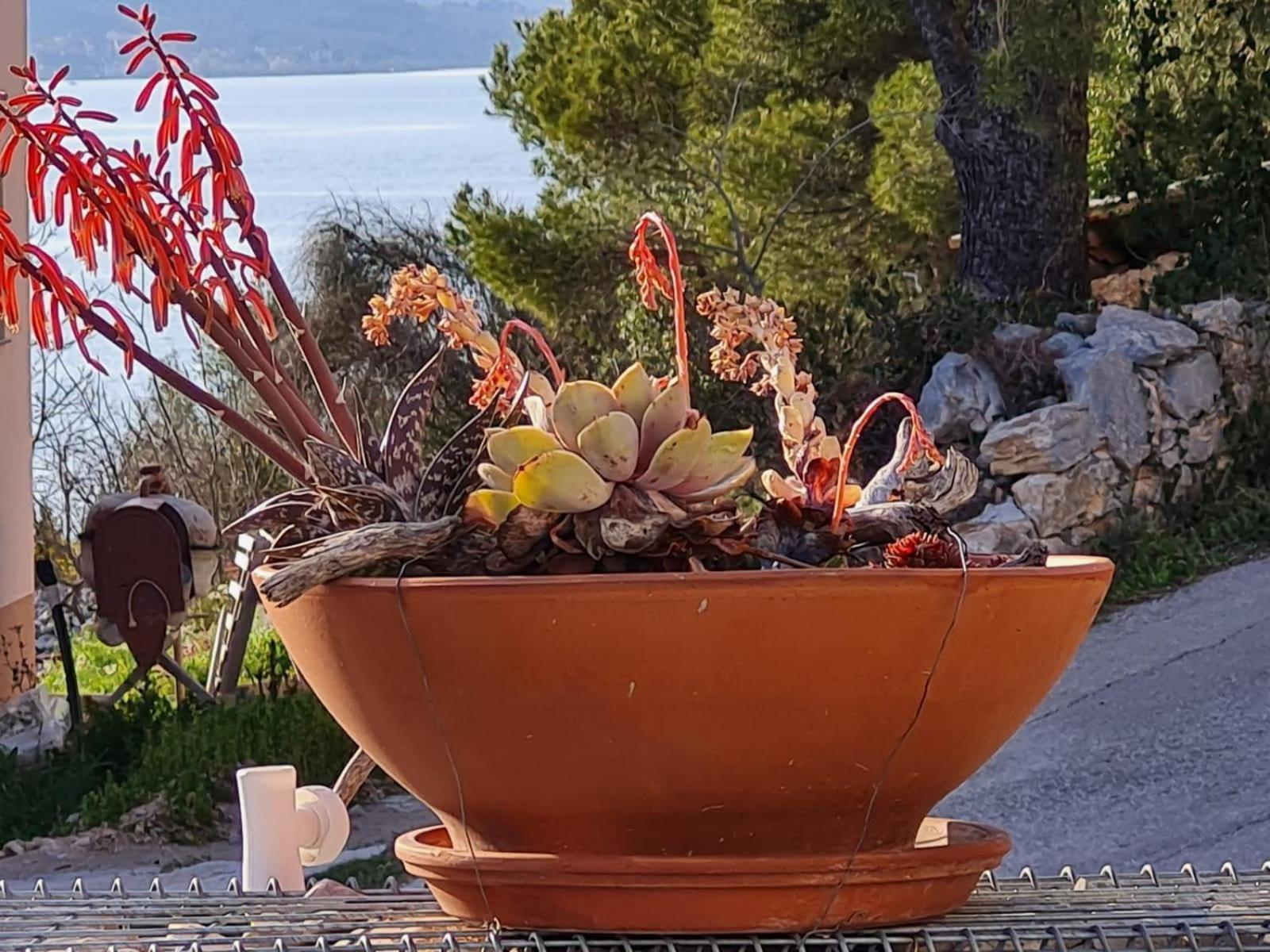 Kuca Mali Raj - Little Paradise Šibenik Esterno foto